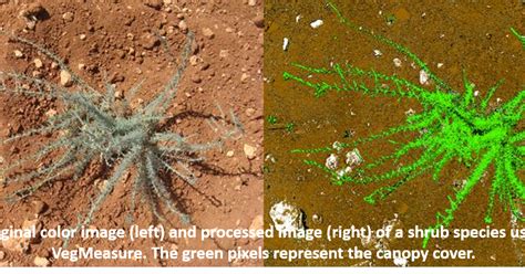 Measuring rangeland degradation for greater resilience | ICARDA