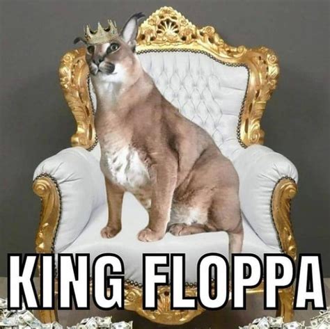 King floppa yea : r/Floppa