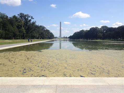 Officials postpone draining of Lincoln Memorial reflecting pool | WTOP