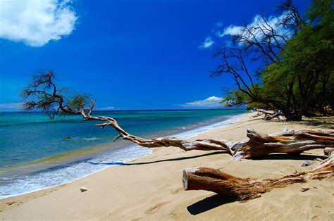 Papalaua Beach Park, Maui | To-Hawaii.com