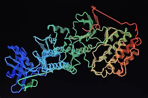 Protein Purity Analysis: What, How & Why