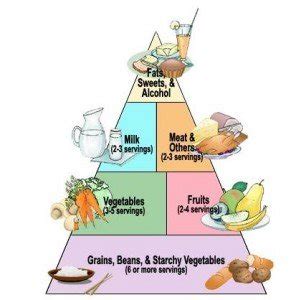 The Diabetic Food Pyramid - The Diabetic Friend