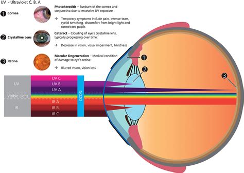 What Observable Parts Of Your Skin That Is Visible In Your Naked Eyes | My XXX Hot Girl