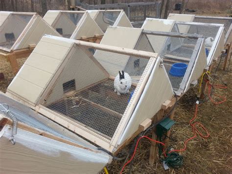 50 DIY Rabbit Hutch Plans to Get You Started Keeping Rabbits