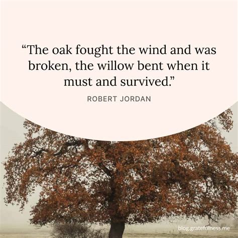 The Best Resilience Quotes to Give You The Strength You Need