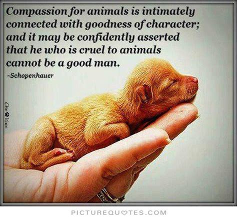 Animal Cruelty Quotes. QuotesGram