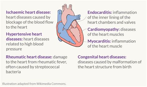 What are the different types of cardiovascular diseases, and how many deaths do they cause ...