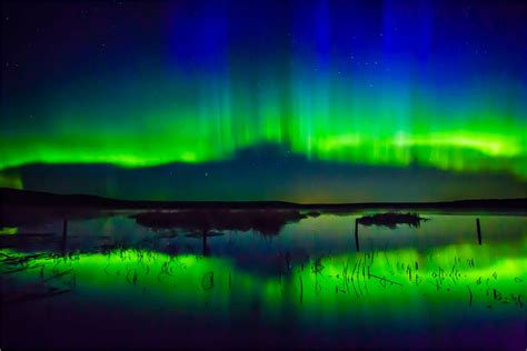 Wednesday 25th November 2015 10AM ~ Northern Lights, Nature Image Galleries