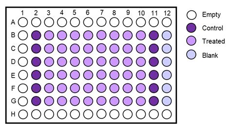 96 Well Plate Printable Template - Printable Templates