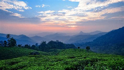 Vattavada Munnar Trek & Camping | Trekking Near Kochi