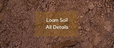 Do You Use Loam Soil In Your Garden? If Not, Look here! - Civil ...