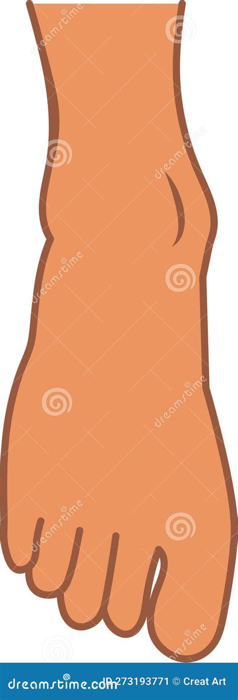 Human Foot Anatomy Illustration Vector Stock Vector - Illustration of icon, vector: 273193771