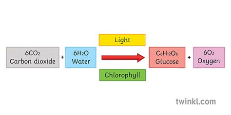 Equation For Photosynthesis