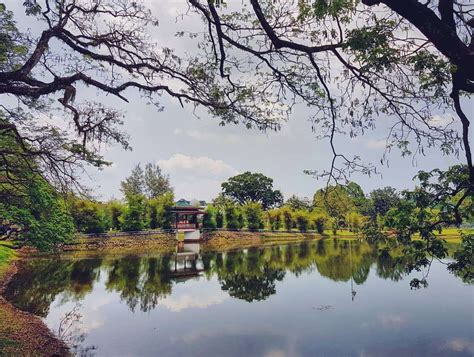 Taiping Lake Garden 101: All that You Can Do Here