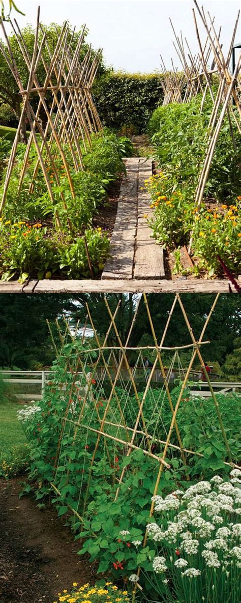 21 Easy DIY Garden Trellis Ideas & Vertical Growing Structures - A Piece Of Rainbow