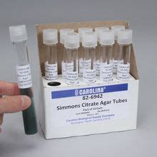 Simmons Citrate Agar, Slant, Prepared Media Tubes, Pack of 10 | Carolina Biological Supply