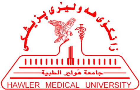 Hawler Medical University - Review labor market assessment training