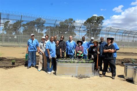 California Medical Facility inmates plant biggest prison garden in U.S. – The Vacaville Reporter