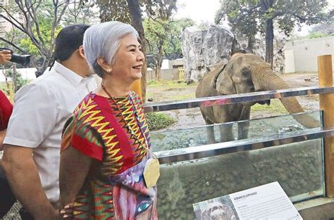 Manila Zoo reopens; entrance fee hiked | Philstar.com