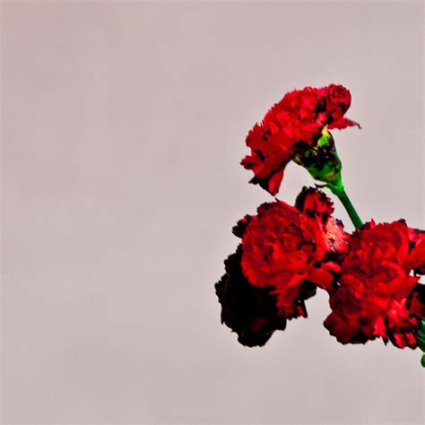 John Legend Reveals 'Love In The Future' Album Cover & Tracklisting | ThisisRnB.com - New R&B ...