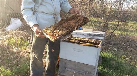 Bee hive inspection 4 24 17 - YouTube