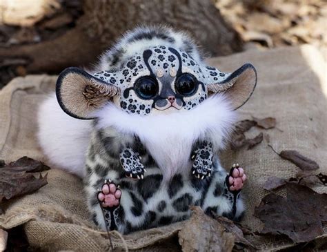 Inari Fox: Bars | Cute animals, Baby animals, Cute fantasy creatures