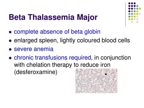 PPT - Thalassemia & Treatment PowerPoint Presentation, free download ...