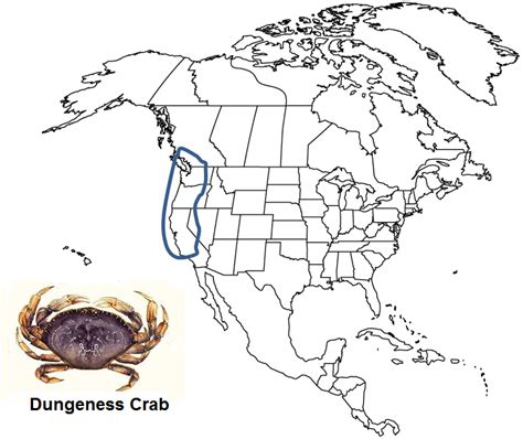 Crabbing Tips: Where to Crab -Crabbing HQ