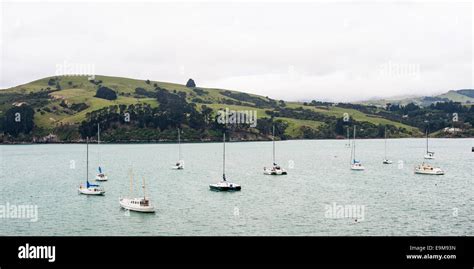 Akaroa harbour, New Zealand Stock Photo - Alamy