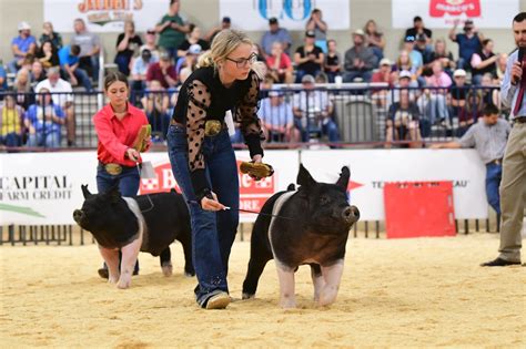 2023 H.O.T. Livestock Show, Fair and Rodeo - China Spring Country Store