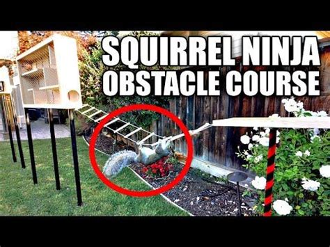 NASA engineer-turned-YouTuber Mark Rober shares his squirrel-proof bird ...