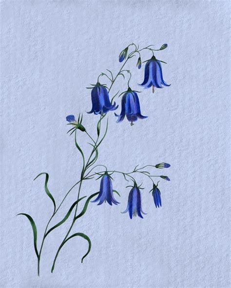 Floral Flowers Blue Watercolor Free Stock Photo - Public Domain Pictures
