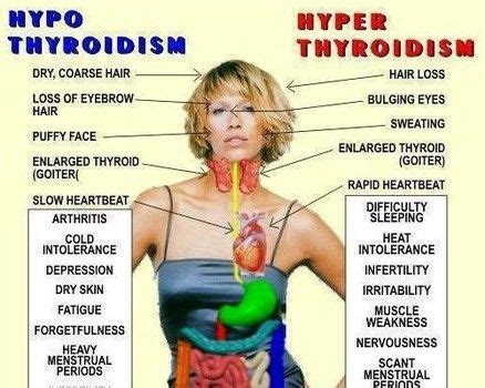 Dr. Oz: Underactive thyroid causes weight gain, bloating, fatigue; what to do: http://www ...