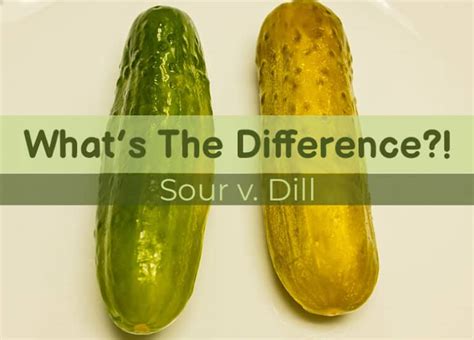 The Difference Between Sour and Dill Pickles Explained – Pickle Wiki