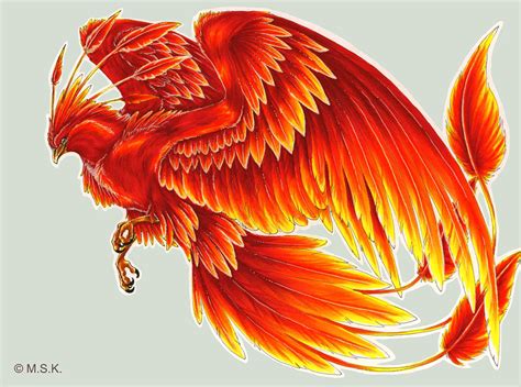 Harry Potter Phoenix Fawkes Bird Tattoo, Phoenix, legendary Creature, orange, chicken png | PNGWing