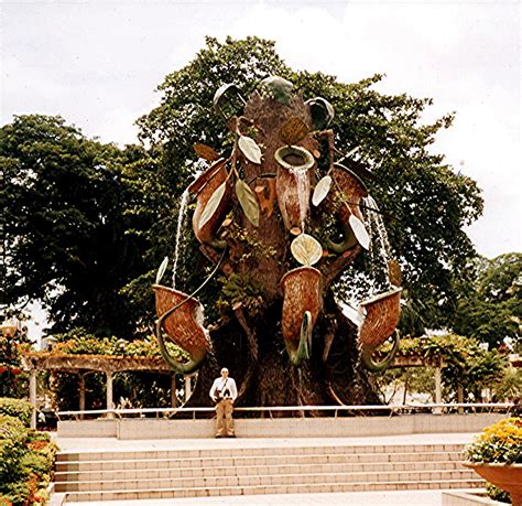 ShukerNature: THE MADAGASCAN MAN-EATING TREE - MORE THAN JUST A MONSTROUS MYTH?