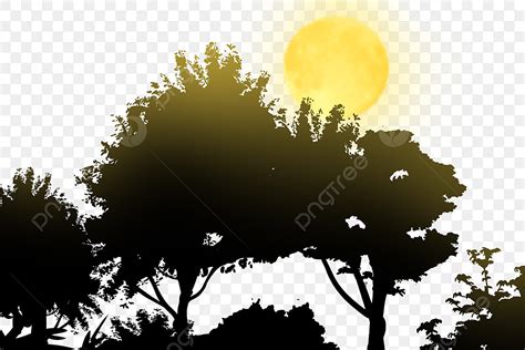 Full Moon Tree Silhouette Transparent Background, Moon Tree Silhouette, Dark, Night, Big Tree ...