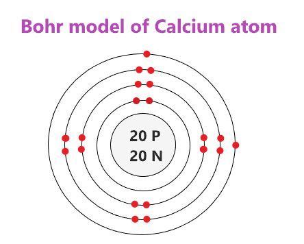 Bohr Model Diagram Calcium Using Atomic 20 Of N 20 Electron