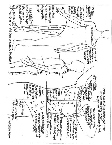 Skin brushing chart | Lymphatic drainage massage, Lymph massage, Lymphatic massage