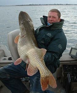 Record Northern Pike Caught In Canada - AZBW