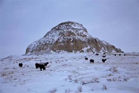 Badlands National Park Winter Stock Photos, Pictures & Royalty-Free ...