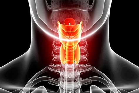 Department of Otolaryngology—Head & Neck Surgery | NYU Langone Health