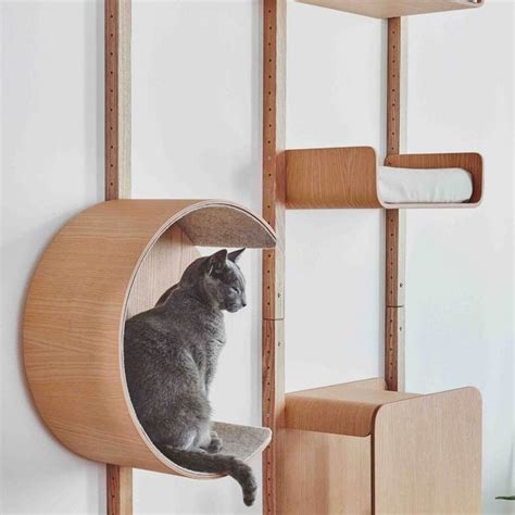 Modern wall-mounted cat furniture and cat shelves | Make them Roar | Cat wall furniture, Cat ...