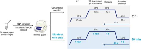 Frontiers | An Ultrafast One-Step Quantitative Reverse Transcription ...