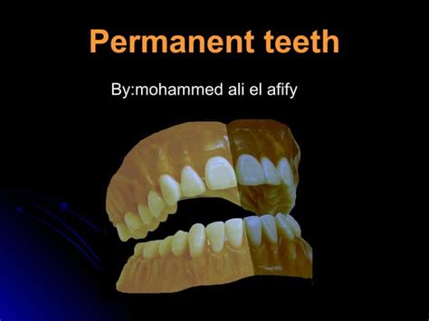 Permanent Teeth Description | PPT