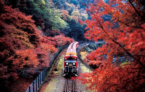 Riding the Rails: The Sagano Scenic Railway | All About Japan