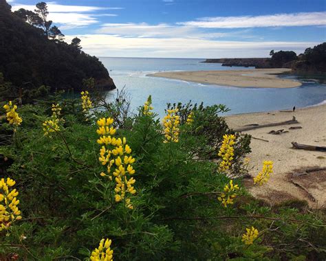 Beaches & Rivers — Mendocino Grove