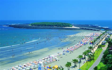 Aoshima Beach Park | Travel Japan - Japan National Tourism Organization (Official Site)