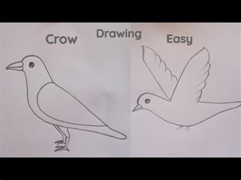 how to draw crow drawing and crow flying easy step by step ...