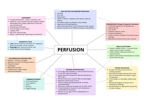 Perfusion Concept Map Nursing Fundamentals - Focused assessments - cardiac, respiratory, skin ...